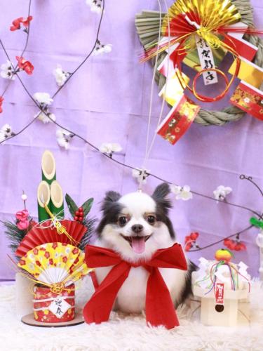 20230110リアンくん